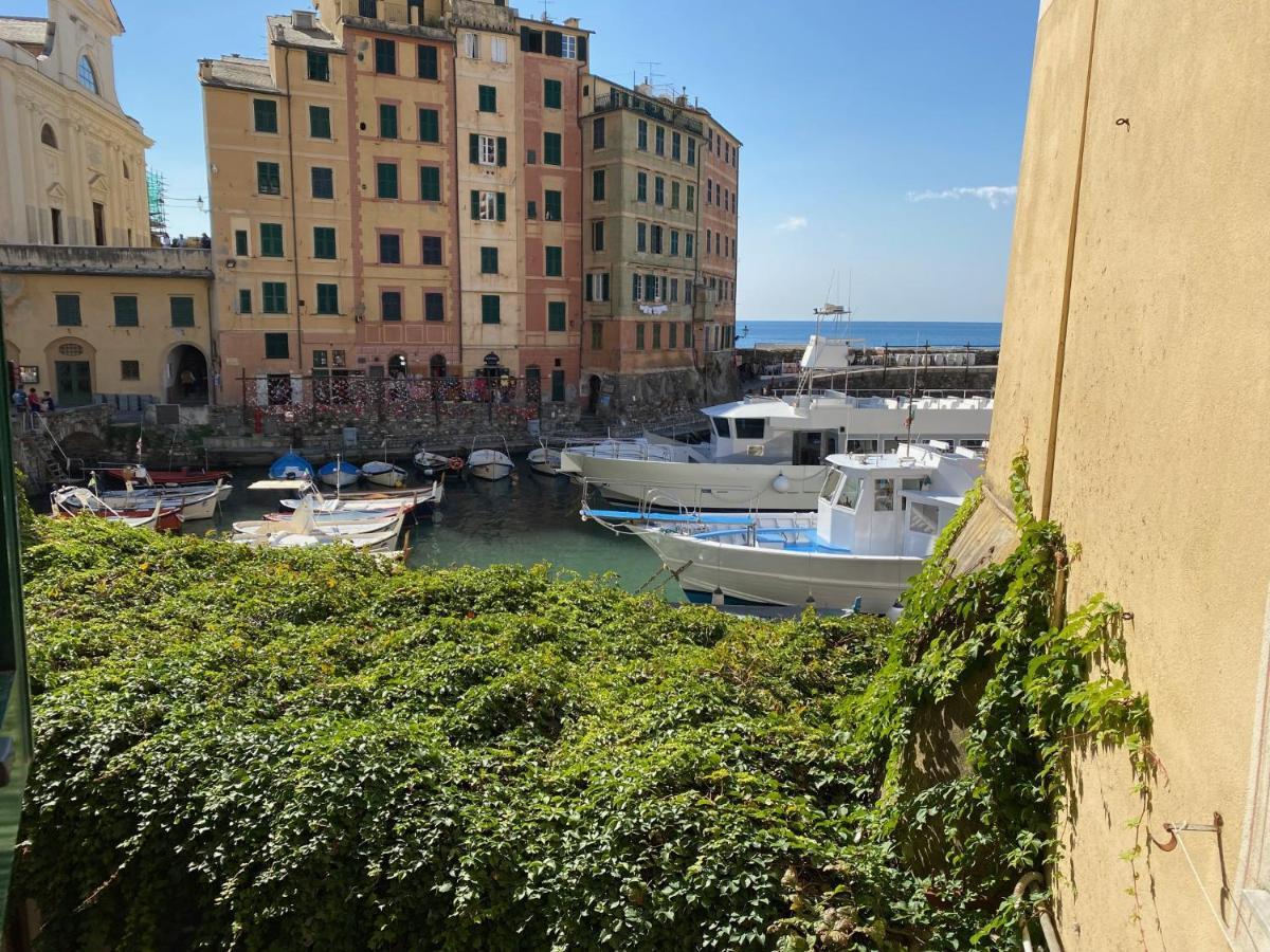 شقة Liguria Holidays - La Casa Di Judi كامولّي المظهر الخارجي الصورة